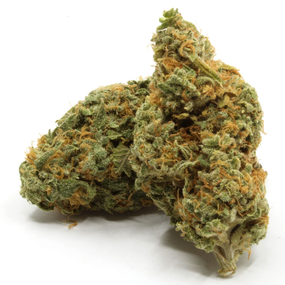 Blue-Dream-1-1.jpg Pinks Sativa Hybrid - Image 1